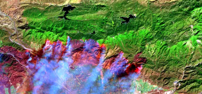 Satellite Images Reveals 2,500 hectares Forest Lost in Fire