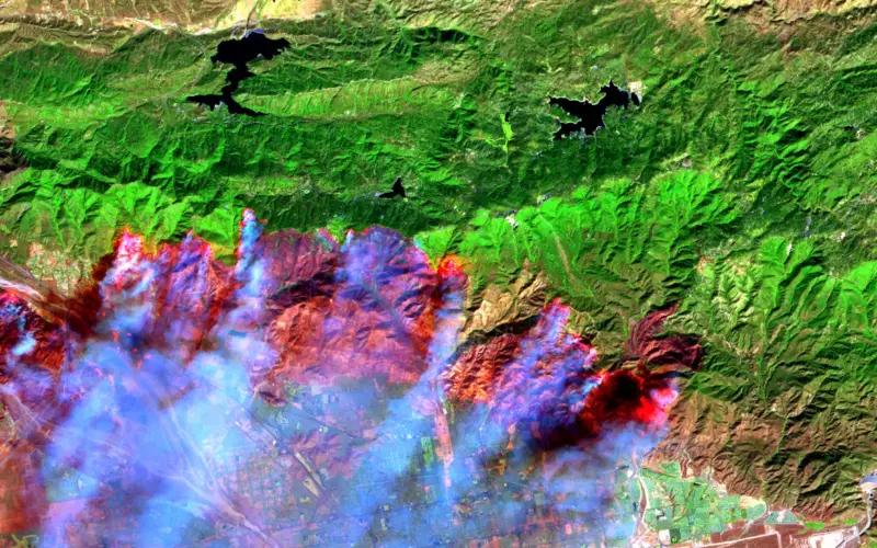 Satellite Images Reveals 2,500 hectares Forest Lost in Fire