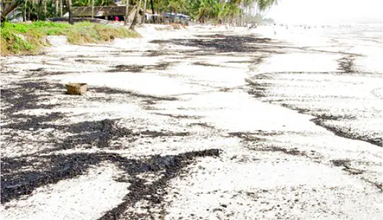 NIO Launches GIS-Based Study to Reassess Goa’s Beach-Carrying Capacity