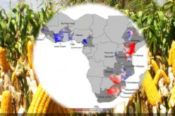 Water, Water — Not Everywhere: Mapping Water Trends for African Maize