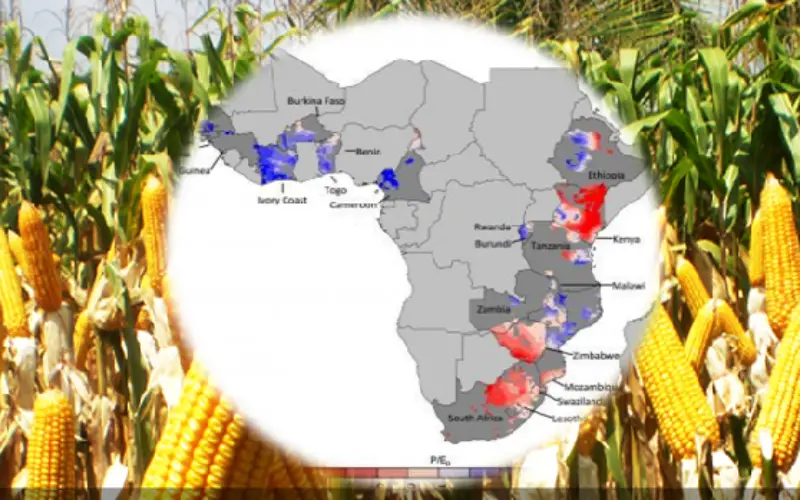 Water, Water — Not Everywhere: Mapping Water Trends for African Maize