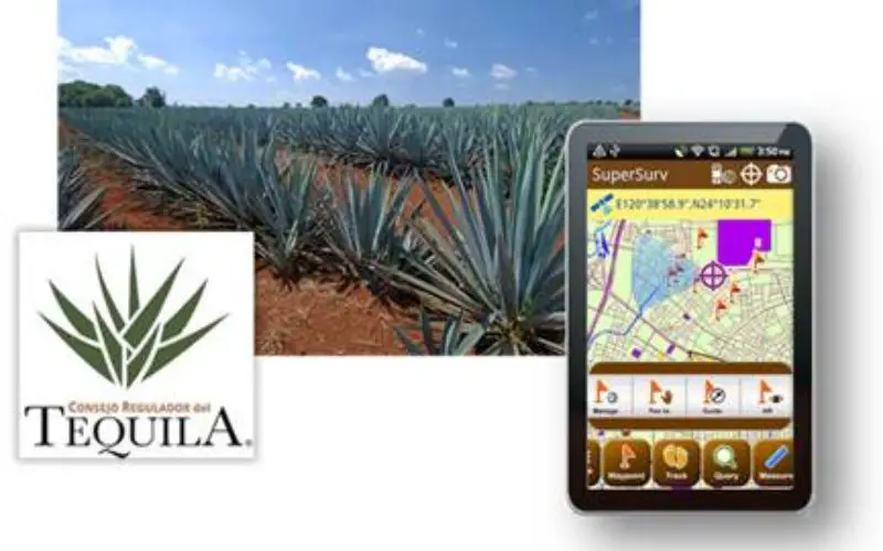 SuperSurv Elevates Tequila Industry Development in Mexico