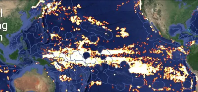 Global Fishing Watch Using Mapping Technology