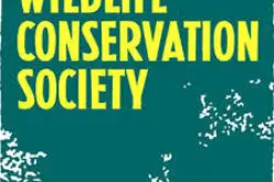 Ten Ways Remote Sensing Can Contribute to Biodiversity Conservation