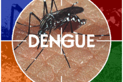 Pakistan to Introduce Smart Phones for Digital Mapping of Dengue