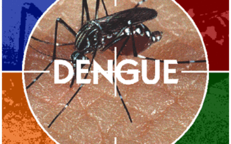 University of the Cordilleras Launches GIS Based Dengue Surveillance System