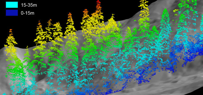 LiDAR Mapping Technique Finds Abandoned Mines in Forest