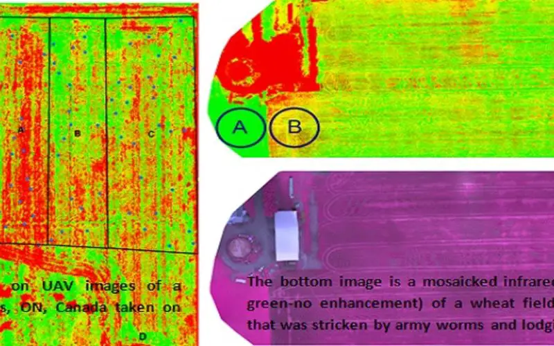 Applications of Low Altitude Remote Sensing in Agriculture