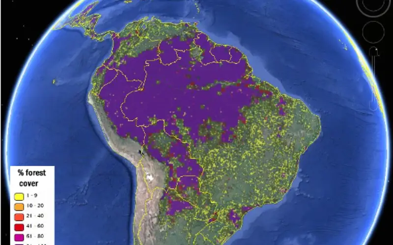 More Accurate View of Global Forest Map from IIASA
