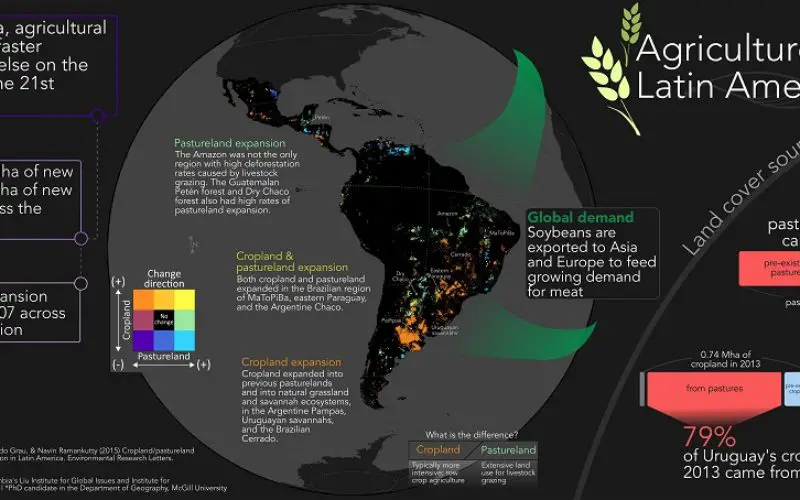 Remote Sensing to Study Dynamics of Cropland in Latin America