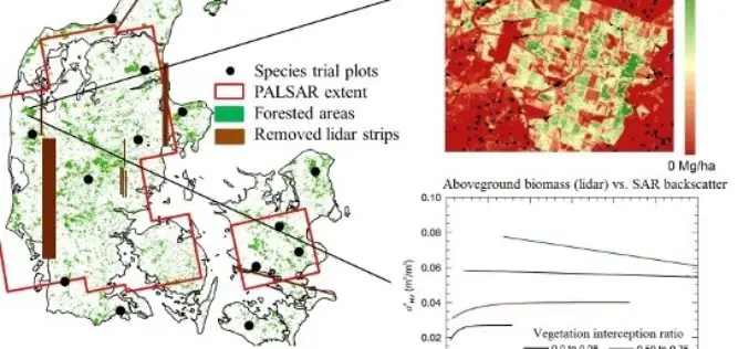 L-Band SAR Backscatter Related to Forest Cover, Height and Aboveground Biomass at Multiple Spatial Scales across Denmark