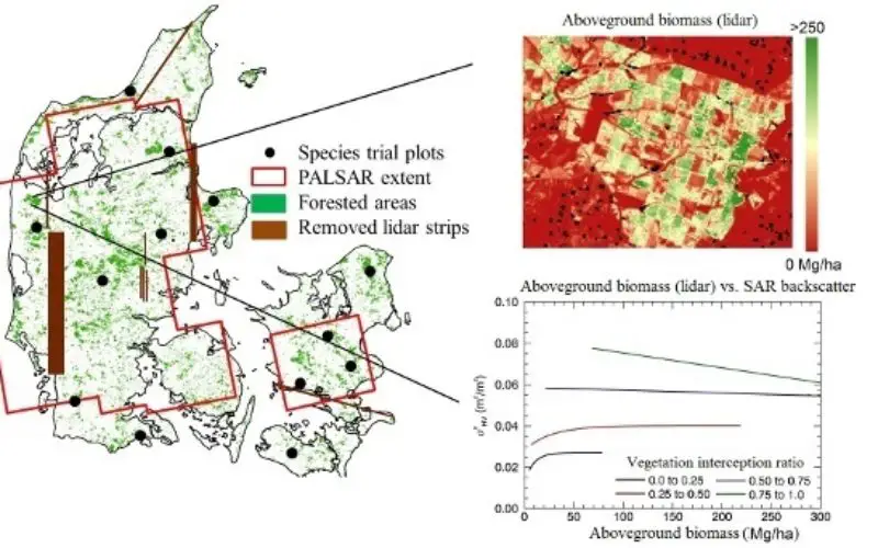 L-Band SAR Backscatter Related to Forest Cover, Height and Aboveground Biomass at Multiple Spatial Scales across Denmark