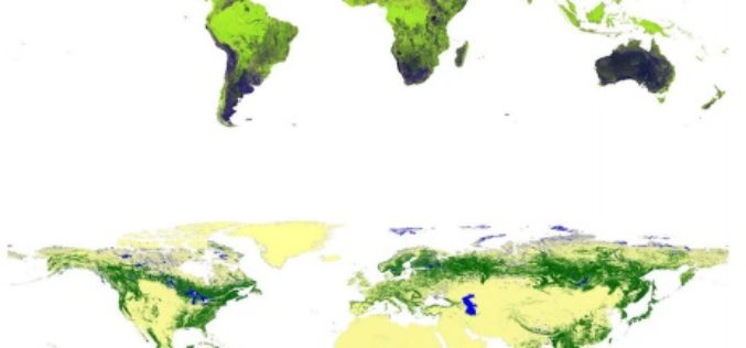 Global Forest Watch Using High Resolution Synthetic Aperture Radar