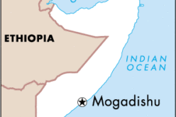 Remote sensing, Satellite Imagery, Surveys Use to Estimate Population of Mogadishu
