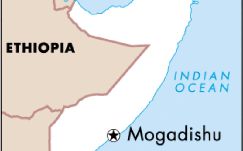 Remote sensing, Satellite Imagery, Surveys Use to Estimate Population of Mogadishu