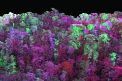 LiDAR for Water and Soil Conservation in Forests