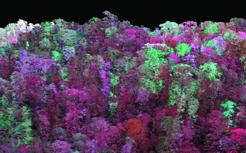 LiDAR for Water and Soil Conservation in Forests