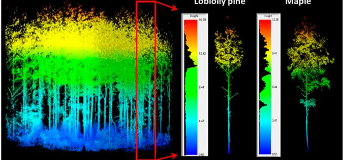 LiDAR Scanning Can Help Identify Structurally Heterogeneous Forest Areas