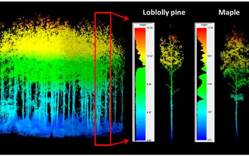 LiDAR Scanning Can Help Identify Structurally Heterogeneous Forest Areas