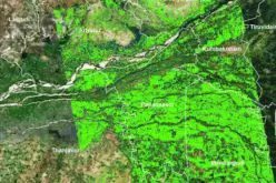Researchers from TNAU Uses Satellite Images for Crop Management