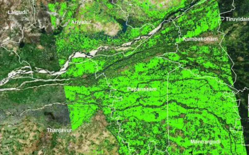 Researchers from TNAU Uses Satellite Images for Crop Management