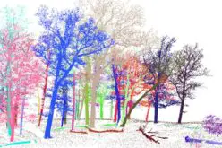 3D Forest – Forest LiDAR Data Processing Tool