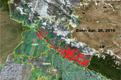 Satellite Reveals Decline in the Number of Forest Fires in Uttarakhand