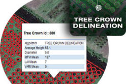 Tree Crown Delineation a New App to Monitor Trees