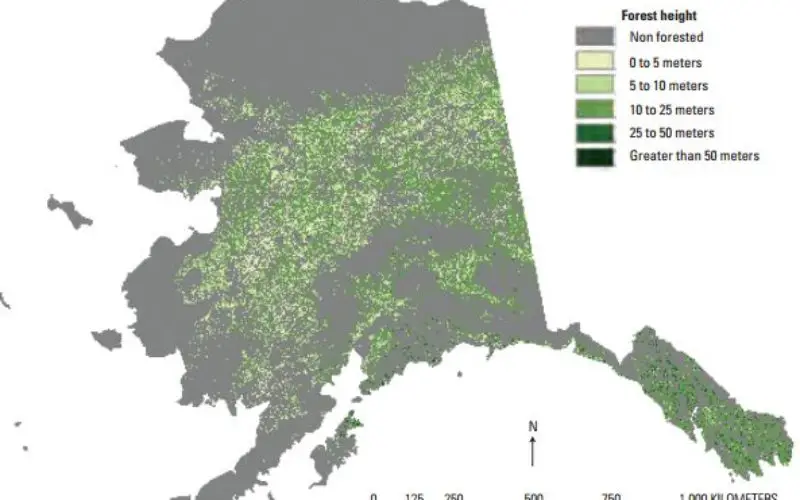 Enhanced Canopy Fuel Mapping by Integrating LiDAR Data