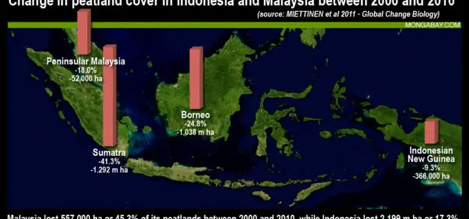 Jakarta Adopted LiDAR To Map and Protect Peatland Forests