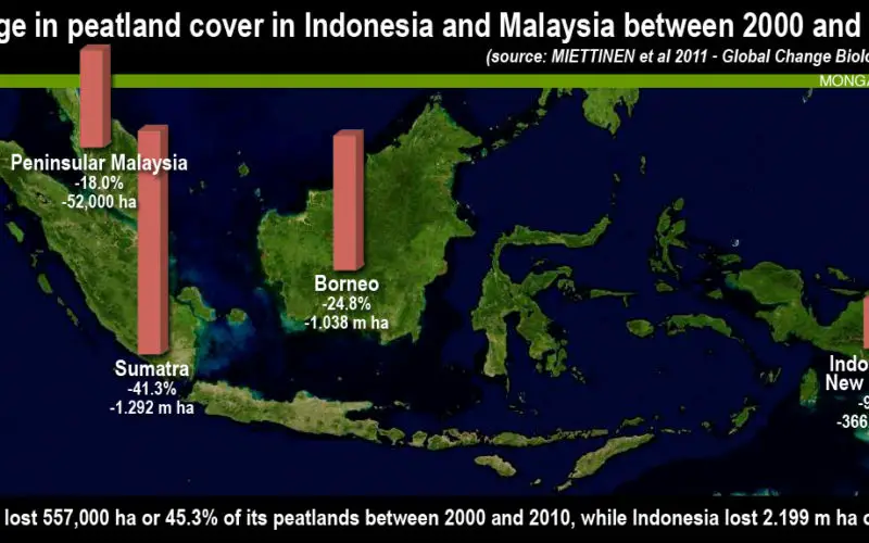 Jakarta Adopted LiDAR To Map and Protect Peatland Forests