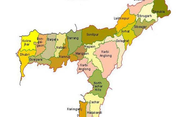 Assam Beings GIS Mapping of Dhubri Town