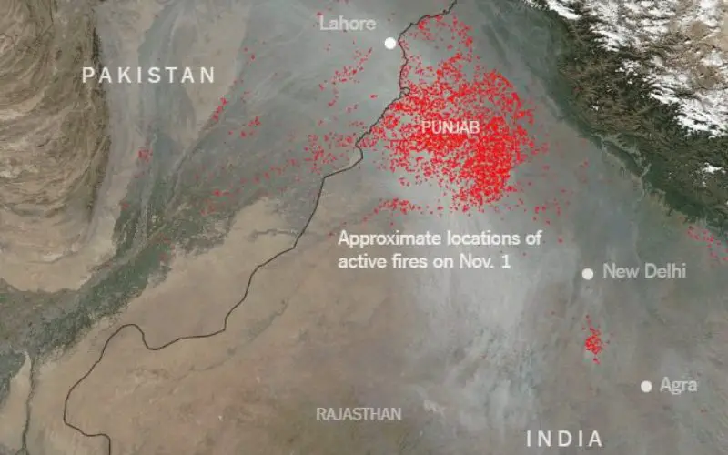 Punjab to use Remote Sensing and SMS Technology to Battle Against Crop Residue Burning