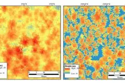 Bluesky LiDAR Maps Used to Monitor the Spread of Deadly Tree Disease