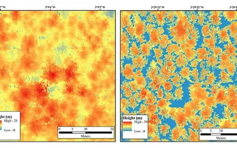 Bluesky LiDAR Maps Used to Monitor the Spread of Deadly Tree Disease