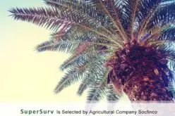 SuperSurv Selected by Agricultural Company Socfinco