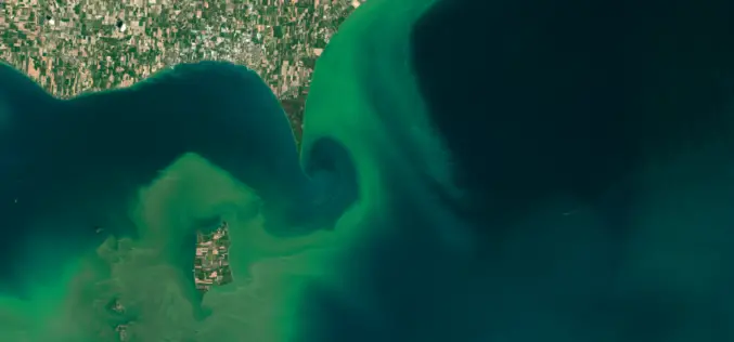 ARSET NASA Webinar: Introduction to Remote Sensing of Harmful Algal Blooms