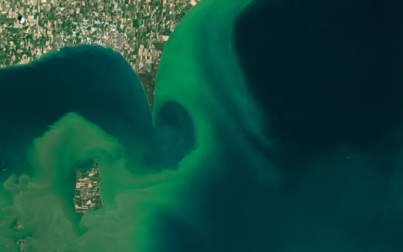 ARSET NASA Webinar: Introduction to Remote Sensing of Harmful Algal Blooms