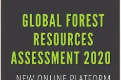 FAO Launched New Tools for Reporting on World’s Forest Resources