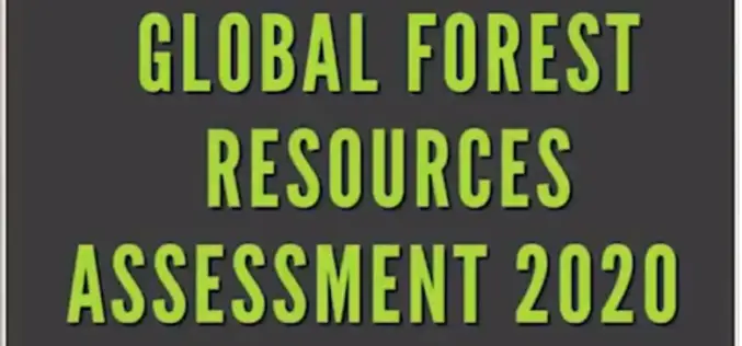 FAO Launched New Tools for Reporting on World’s Forest Resources