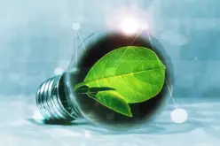 The Role of Government in Energy Conservation