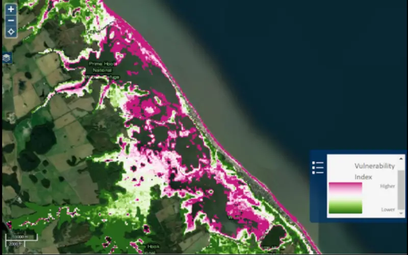 USGS Developed High-Resolution Imagery of Coastal Wetlands to Identify Vulnerable Marshes across the US