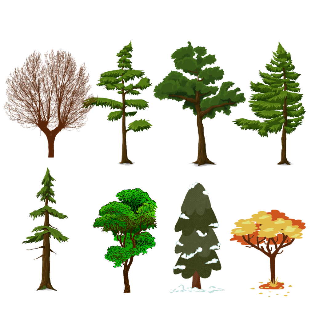 Various types of trees in different seasons-Automated Point Cloud Analysis for Forestry Mapping