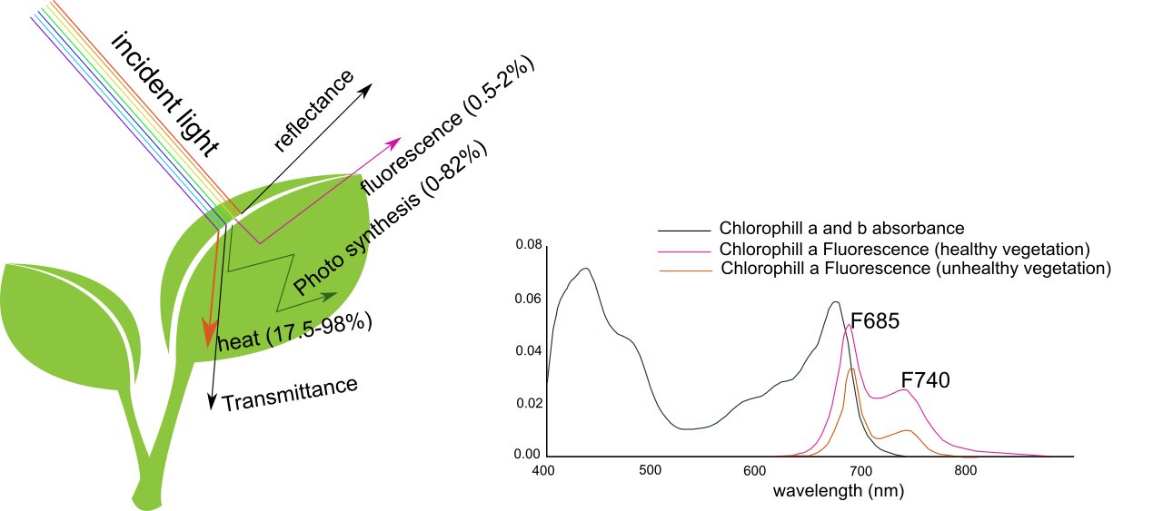 Figure 1. Solar- induced chlorophyll fluorescence 