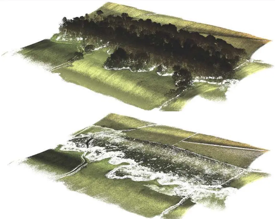 How UAV LiDAR Technology Is Transforming Operational Forest Management-Point cloud of the woodland (top) and Bare Earth point cloud (bottom)