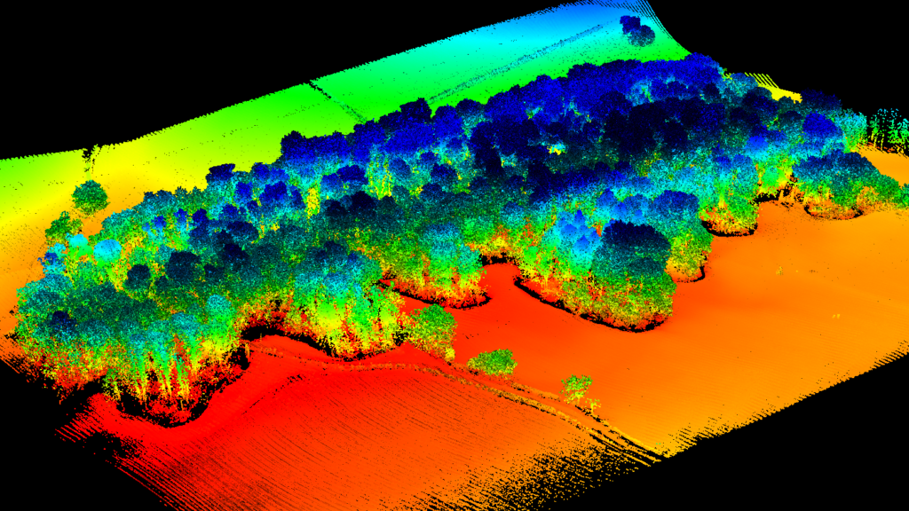 Routescene Barnsley Forest point cloud