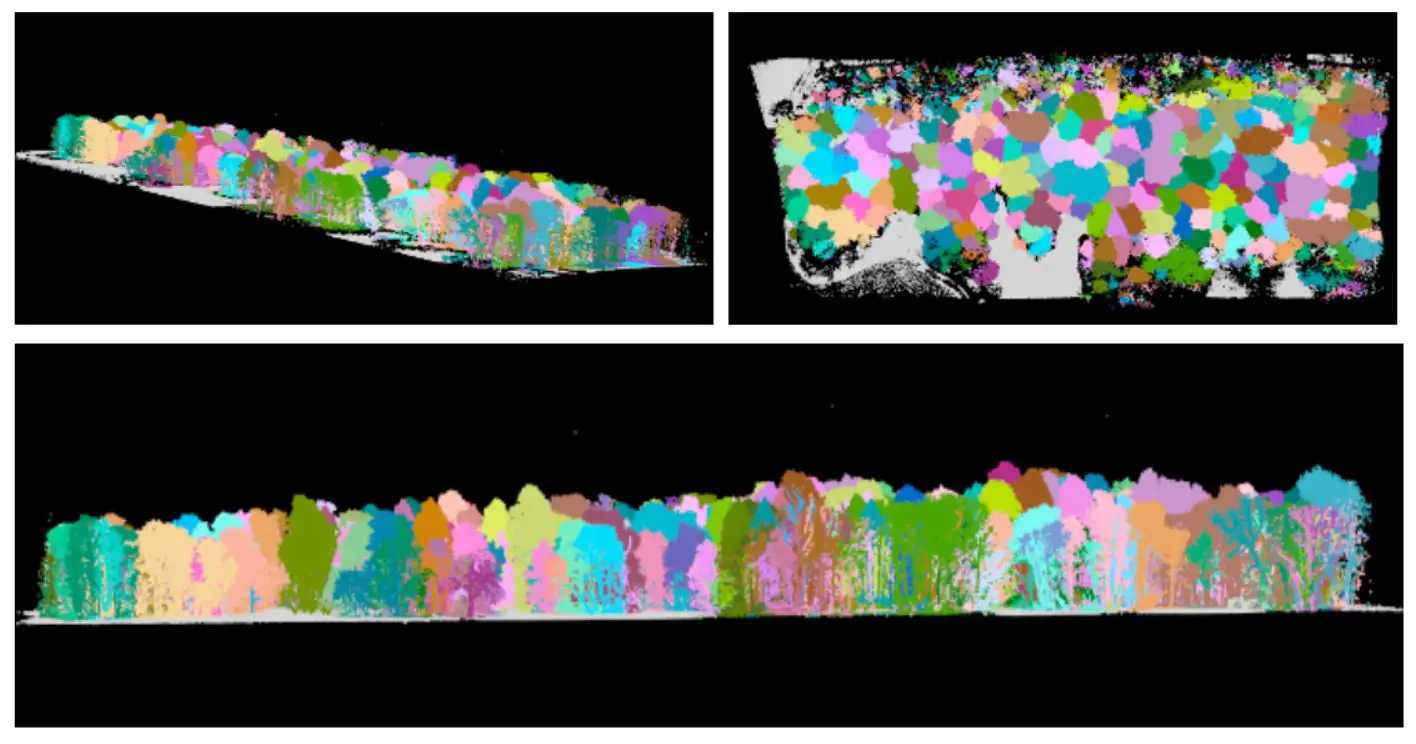 Detailed tree segmentation to individual tree level.-How UAV LiDAR Technology Is Transforming Operational Forest Management