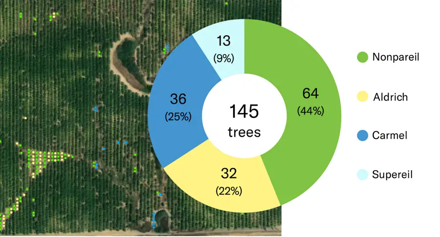 Ceres Imaging sample tree inventory - Crop Damage Assessments in Agricultural Insurance