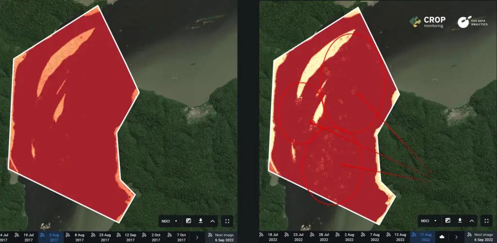 Case 3 _ Análise_ índice NDCI.Analyzing Mining Influence on Brazilian Amazon Vegetation