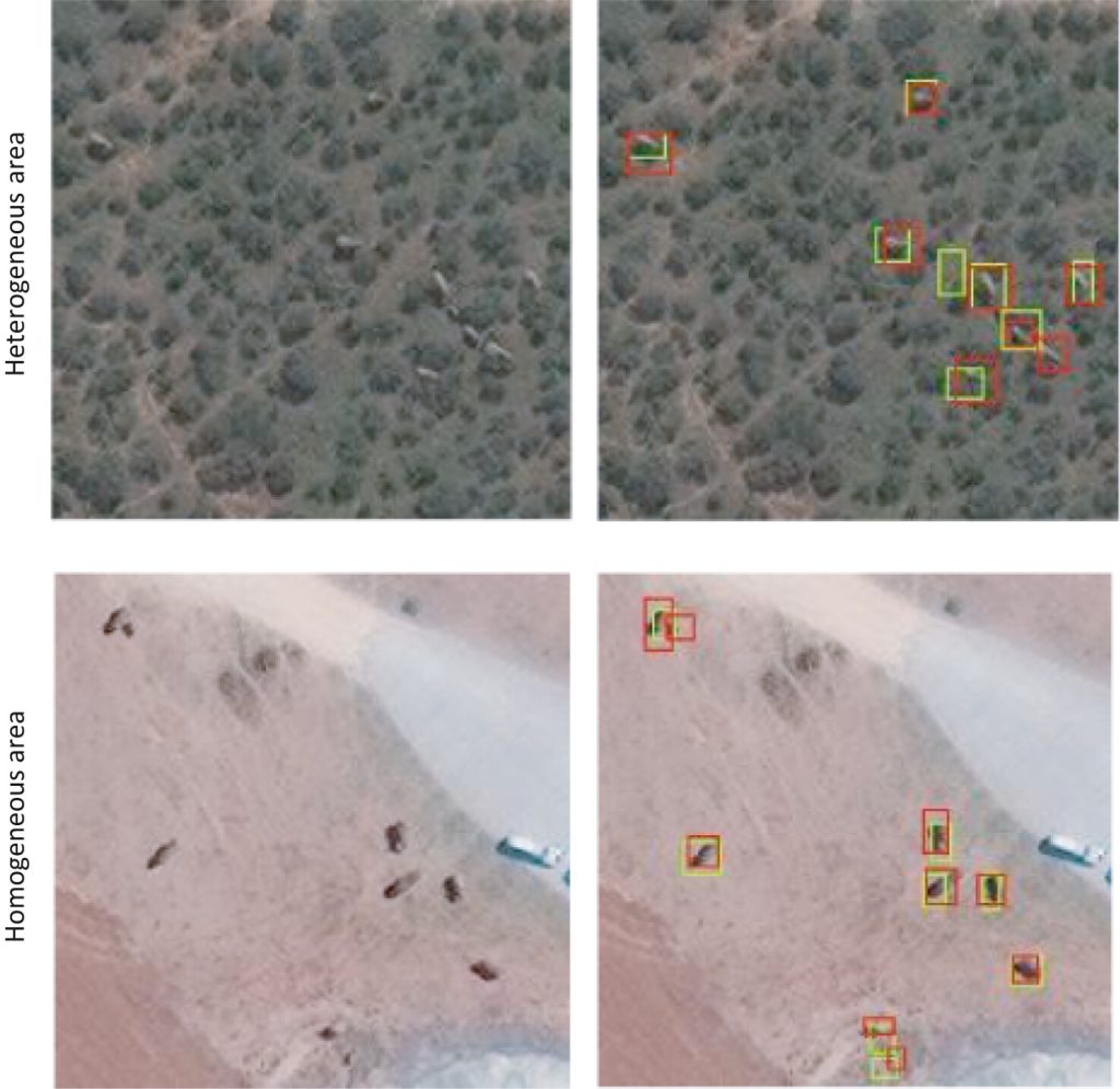 CNN detections: The images on the left are the raw images and images on the right are CNN detections (green boxes) and ground truth labels (red boxes). Satellite image (c) 2020 Maxar Technologies.